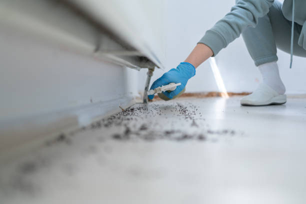 Best Cockroach Control Services  in USA